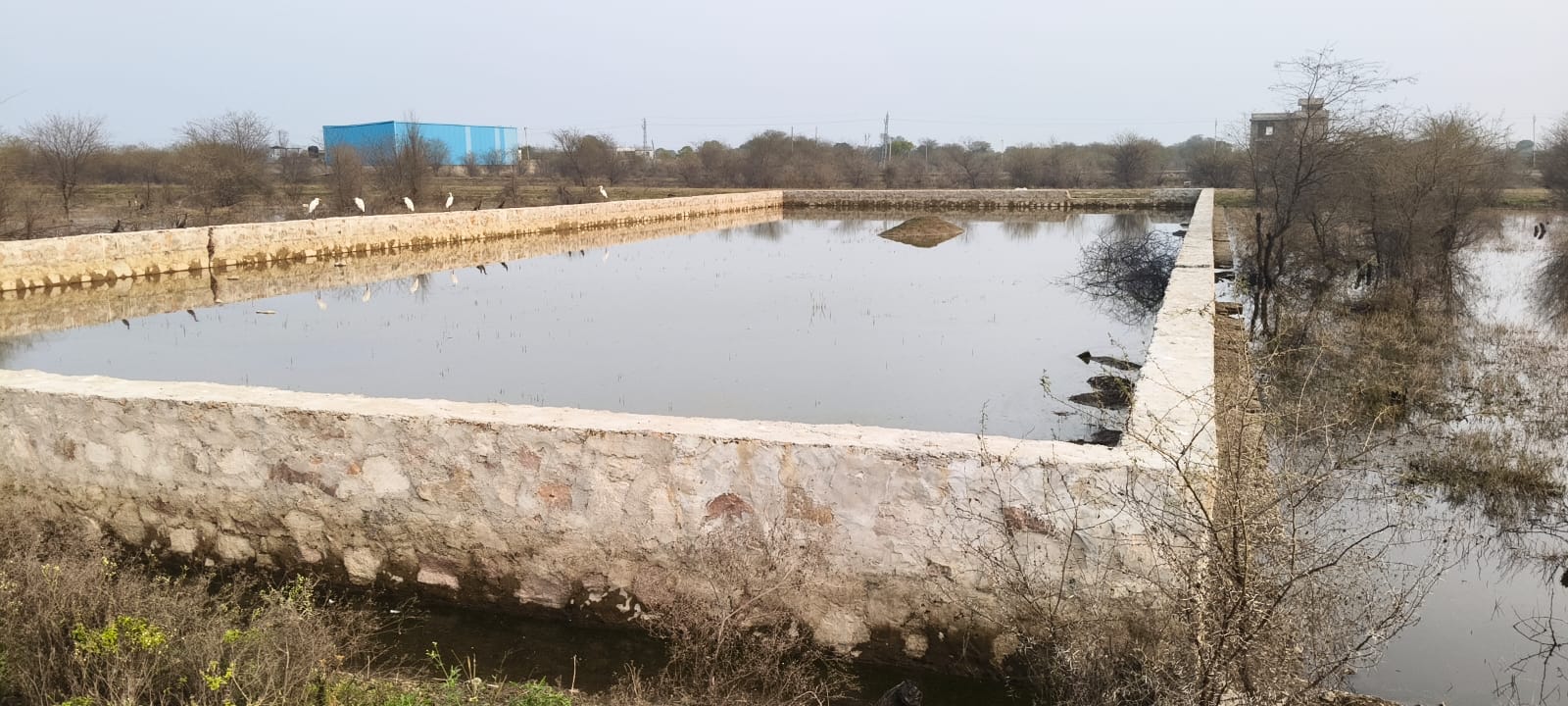 JDA RING ROAD PATTA 258,259,260